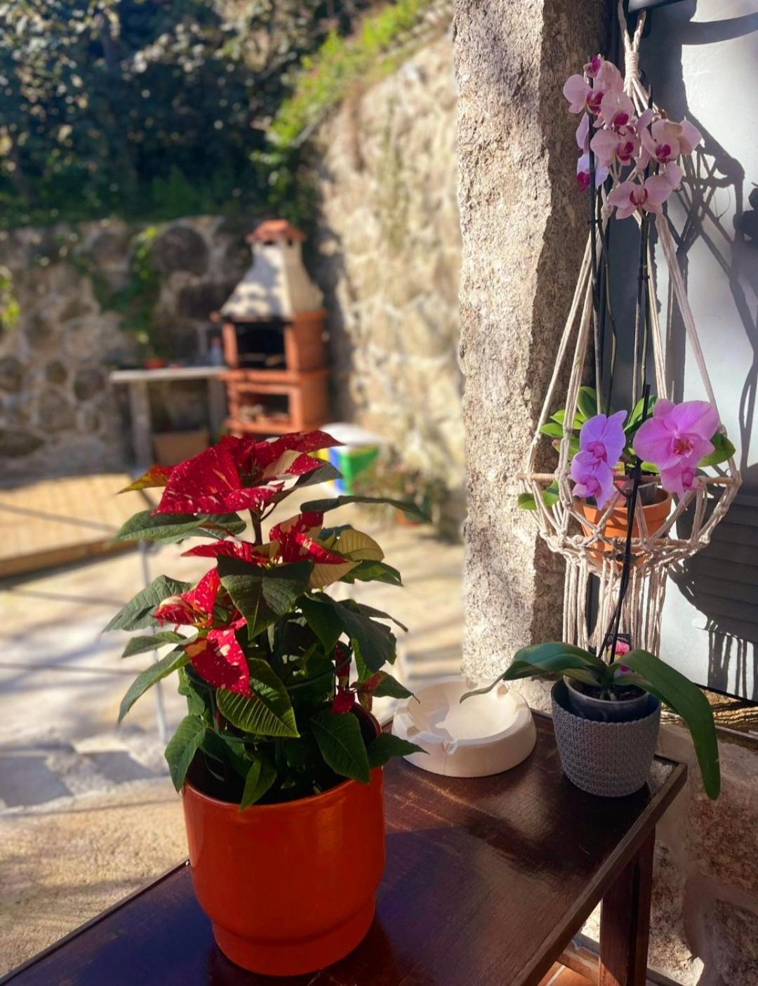 Casa Da Quinta Costa D'Alem Geres Villa Terras de Bouro Buitenkant foto